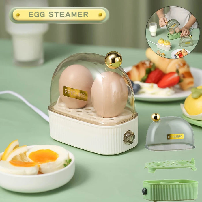 NEW Multifunctional Electric Egg Cooker Heater Automatic Power Off Mini Eggs Food Steamer